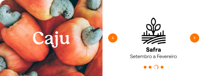 Carousel card — Caju (cashew) with the 'Harvest season: September to February' dimension
