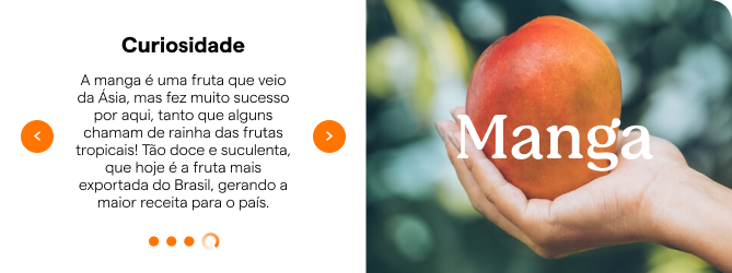 Carousel card — Manga (mango) with the 'Curiosity' dimension