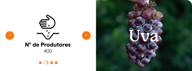 Carousel card — Uva (grape) with the 'Number of Producers: 400' dimension